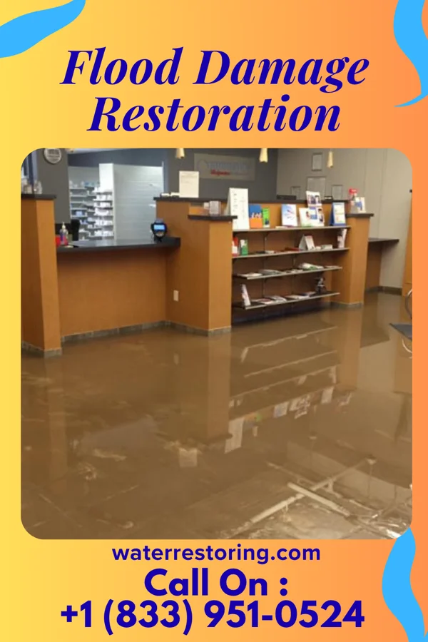 Flood Damage Restoration in Penermon, MO