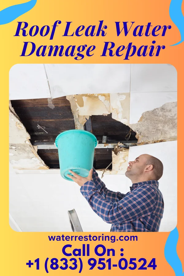 Roof Leak Water Damage Repair in Penermon, MO