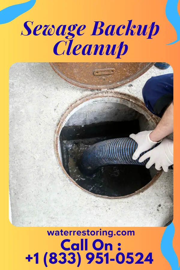 Sewage Backup Cleanup in Penermon, MO